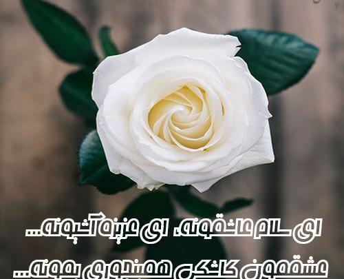 عکس نوشته زیبا روی گل