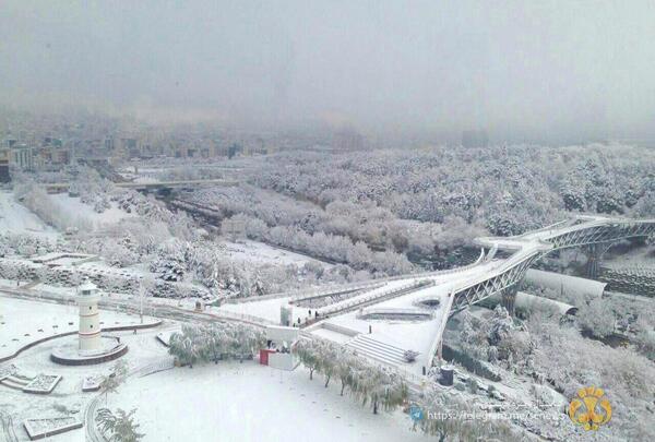 عکس زمستانی حرم امام رضا