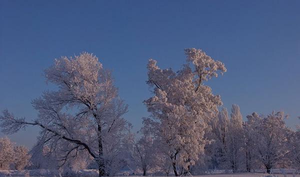 عکس زمستان و پاییز