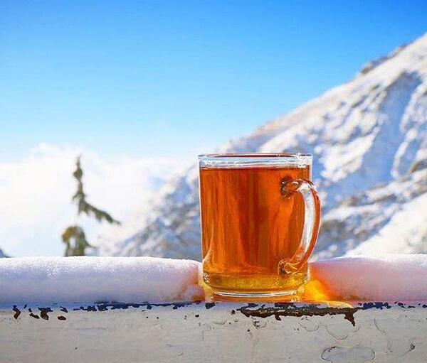 عکس زمستان و چای