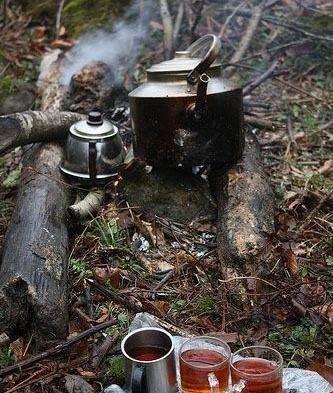 عکس زمستان و چای