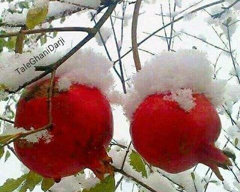 عکس زمستان قشنگ