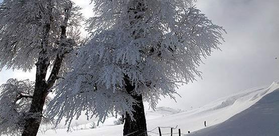 عکس زمستان رشت