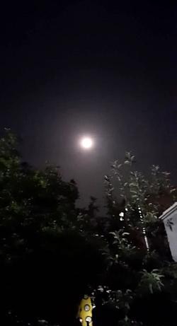 عکس حمیدرضا روحی دابسمش