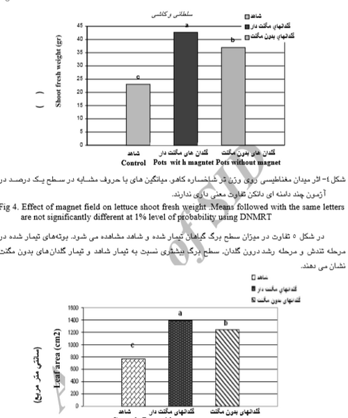 عکس در ذرت