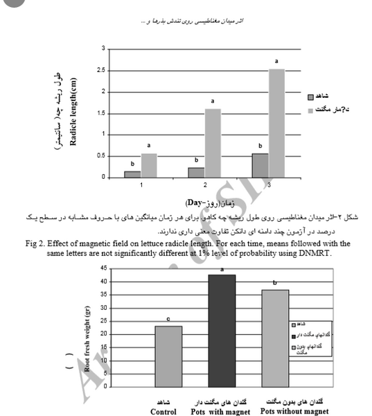 عکس در ذرت