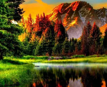 عکس طبیعت خلوت