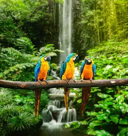 عکس طبیعت خلوت