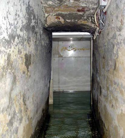 عکس از چهره حضرت عباس