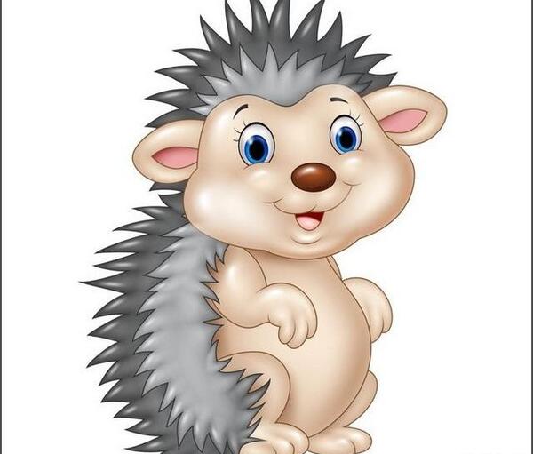 عکس جوجه تیغی فانتزی