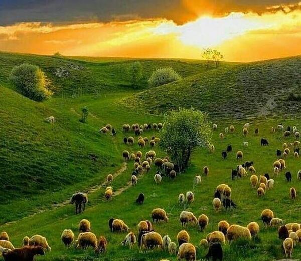 عکس طبیعت مشگین شهر