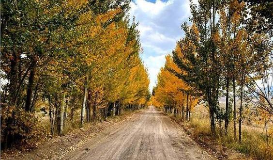 عکس طبیعت لاله زار کرمان