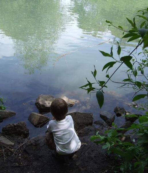 عکس نوشته تنهایی در طبیعت