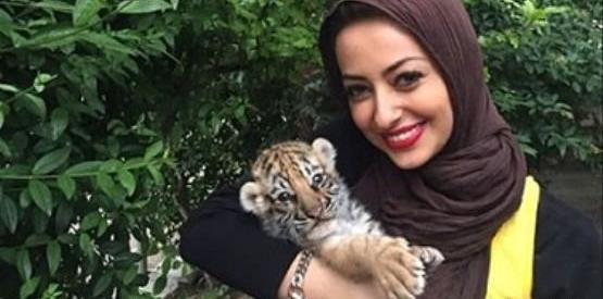 عکس ببر نفیسه روشن
