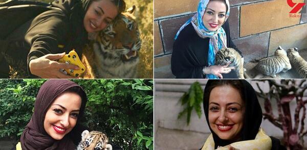 عکس ببر نفیسه روشن