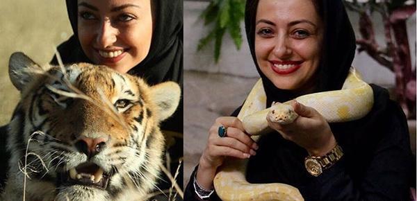 عکس ببر نفیسه روشن