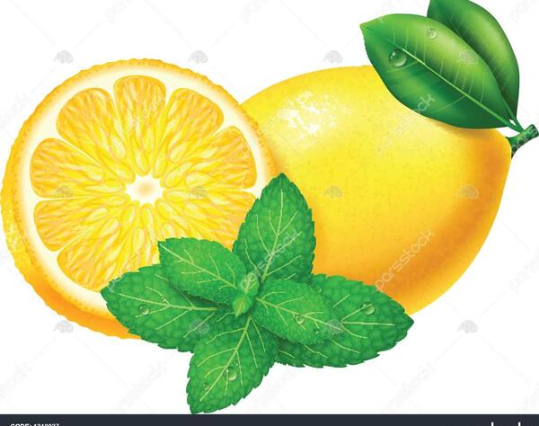 عکس لیمو نعناع