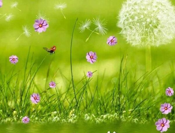عکس در مورد ظهر بخیر