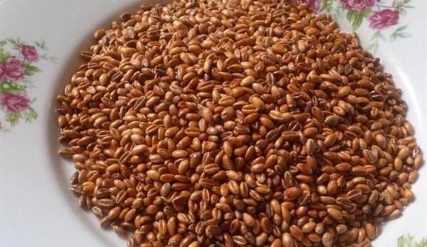 عکس چهارشنبه سوری در اردبیل