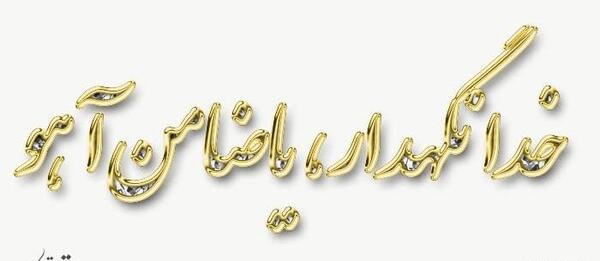 عکس حرم امام رضا برای خداحافظی