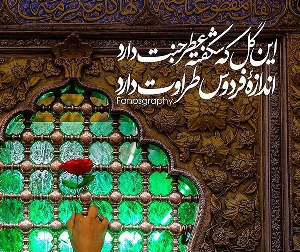 عکس امام علی متن