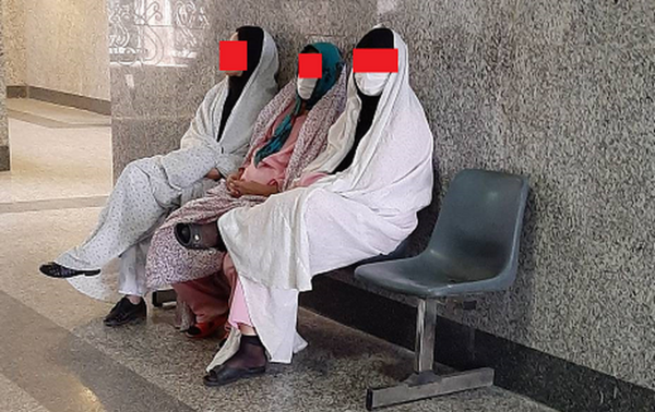 عکس جغد غول پیکر