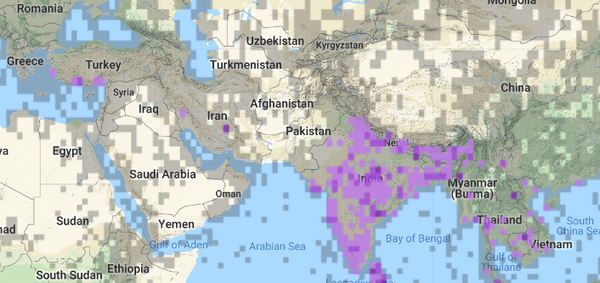 عکس جغد ماهی خوار