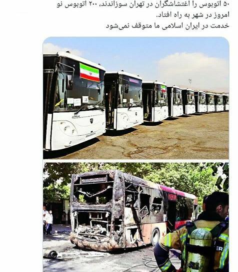 عکس ببر مازندرانی