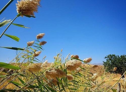 عکس پروفایل واتساپ تابستانی
