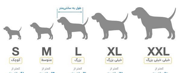 عکس سگ رزی