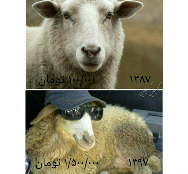 عکس چالش جدید اینستا
