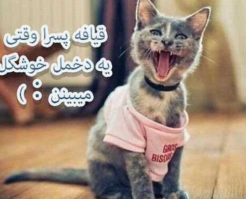 عکس خنده دار ضد پسر ها