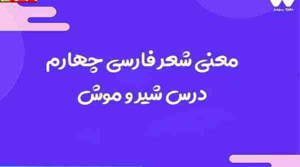 عکس ضرب المثل شیر