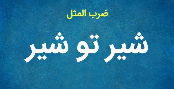 عکس ضرب المثل شیر