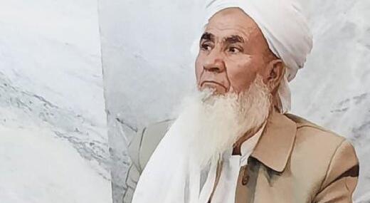 عکس رنگ مو سوسکی