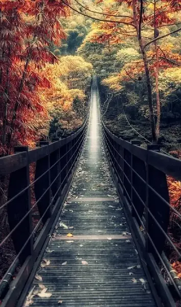 عکس طبیعت زیبا رنگی