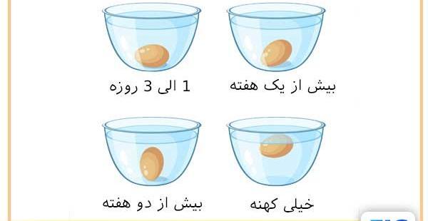 عکس بچه میمون زشت