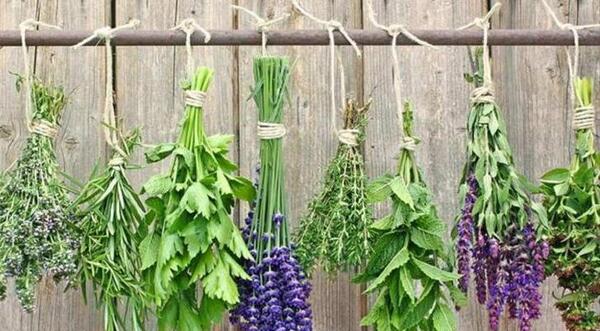 عکس متحرک ذره بین