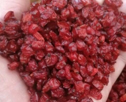 عکس تصویر زرشک تازه