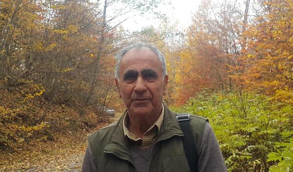 عکس جنگل ایران