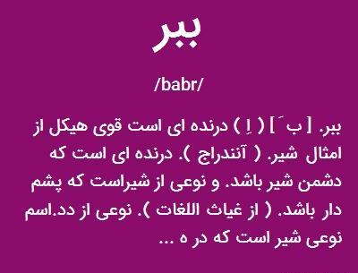 عکس ببر فیلم
