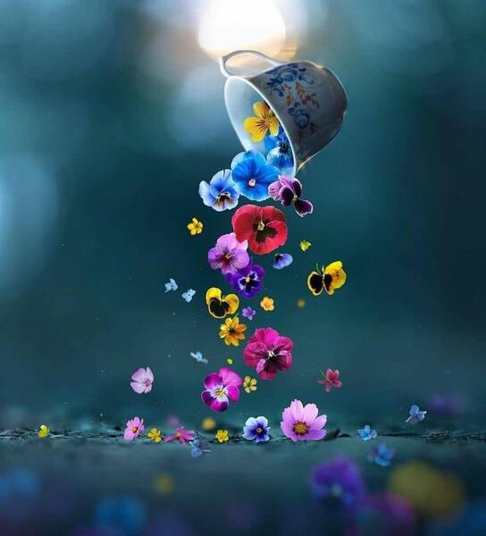 عکس بدون متن زیبا جدید