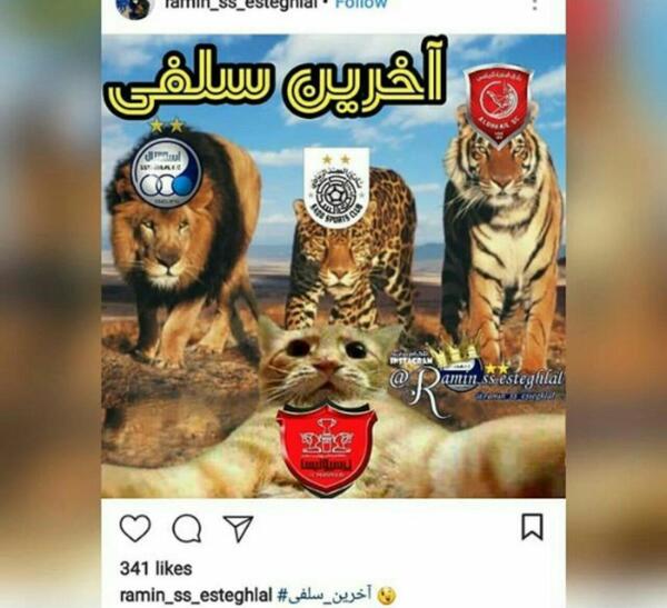 عکس ببر استقلال