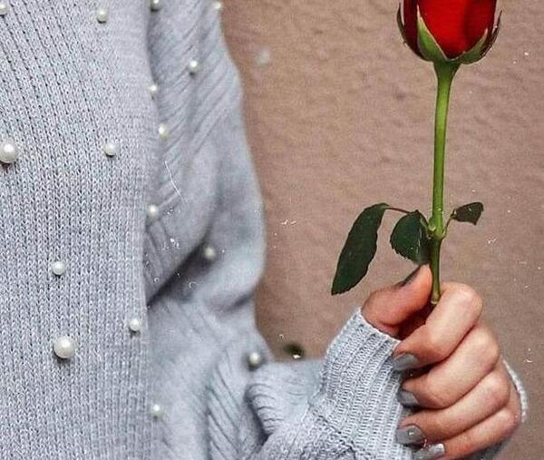 عکس پروفایل دخترونه گل رز قرمز