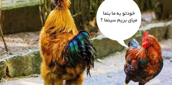 عکس جالب و خنده دار جدید