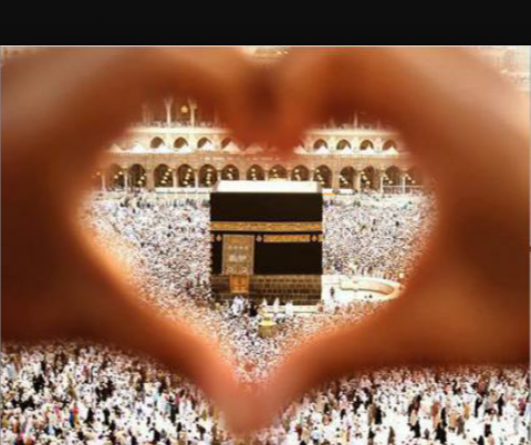 عکس ضرب المثل کبوتر با کبوتر