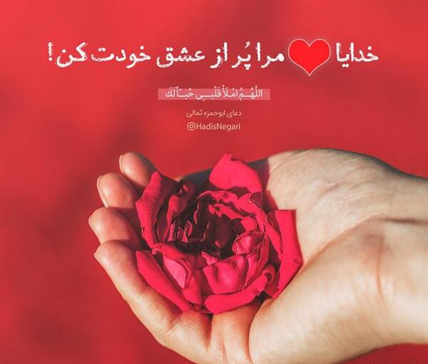 عکس ضرب المثل کبوتر با کبوتر