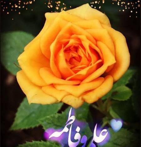 عکس سالگرد ازدواج فاطمه