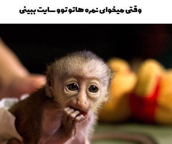 عکس افغانی خنده
