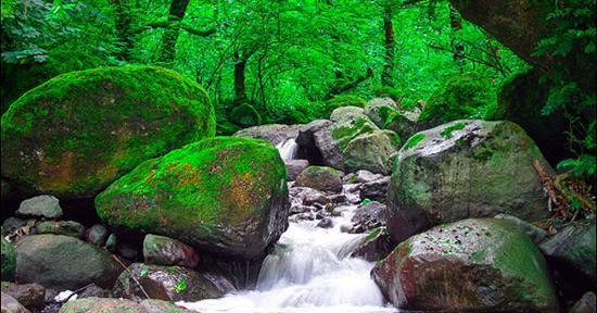 عکسهای طبیعت زیبای شمال ایران